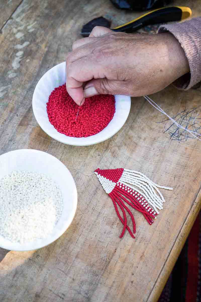 Beaded Fringe Earrings in Rueda