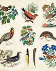 Zoological Ephemera Sticker Books