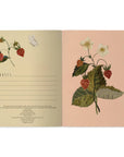 A5 Notebook - Wild Strawberry
