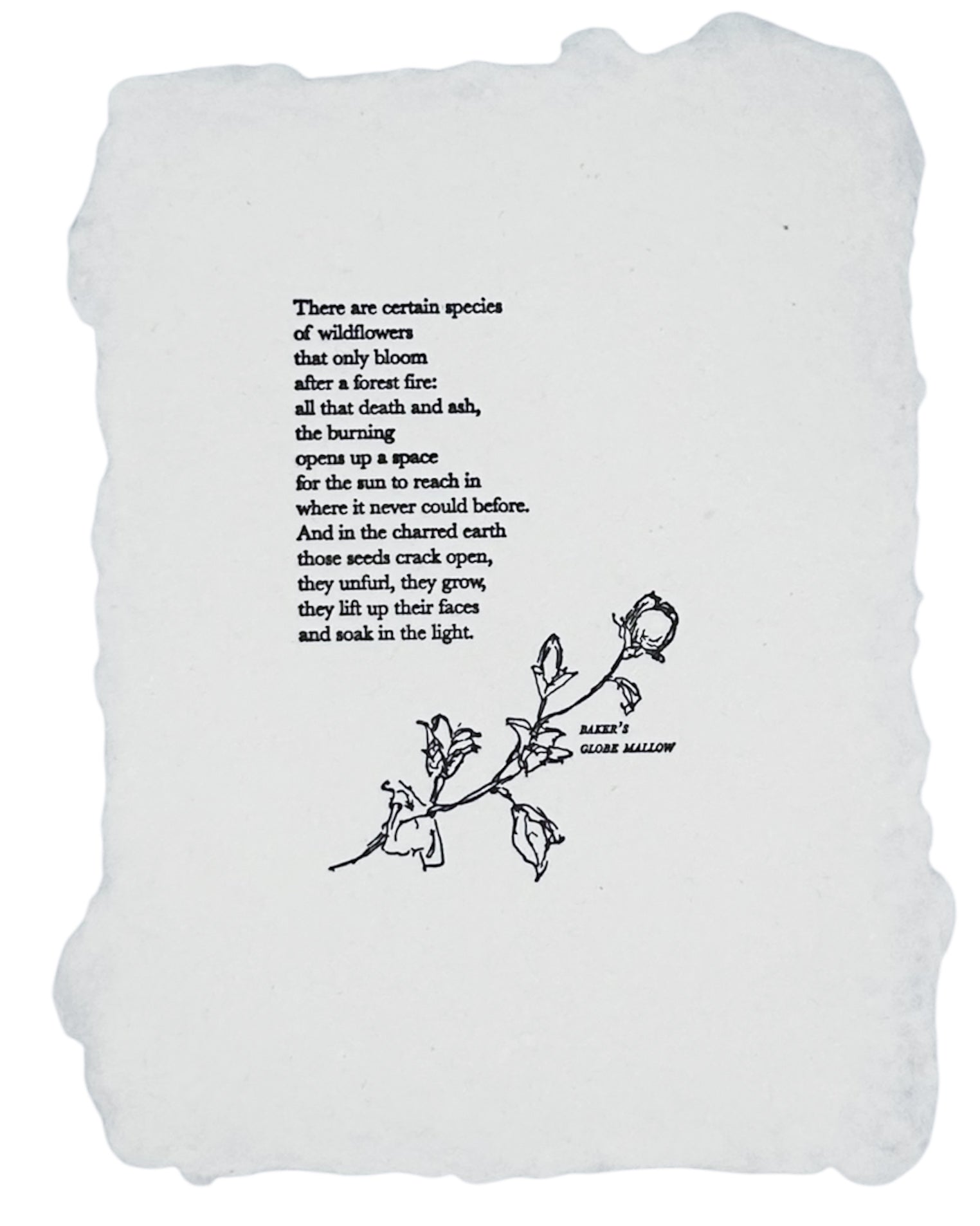wildflower/wildfire poem art print