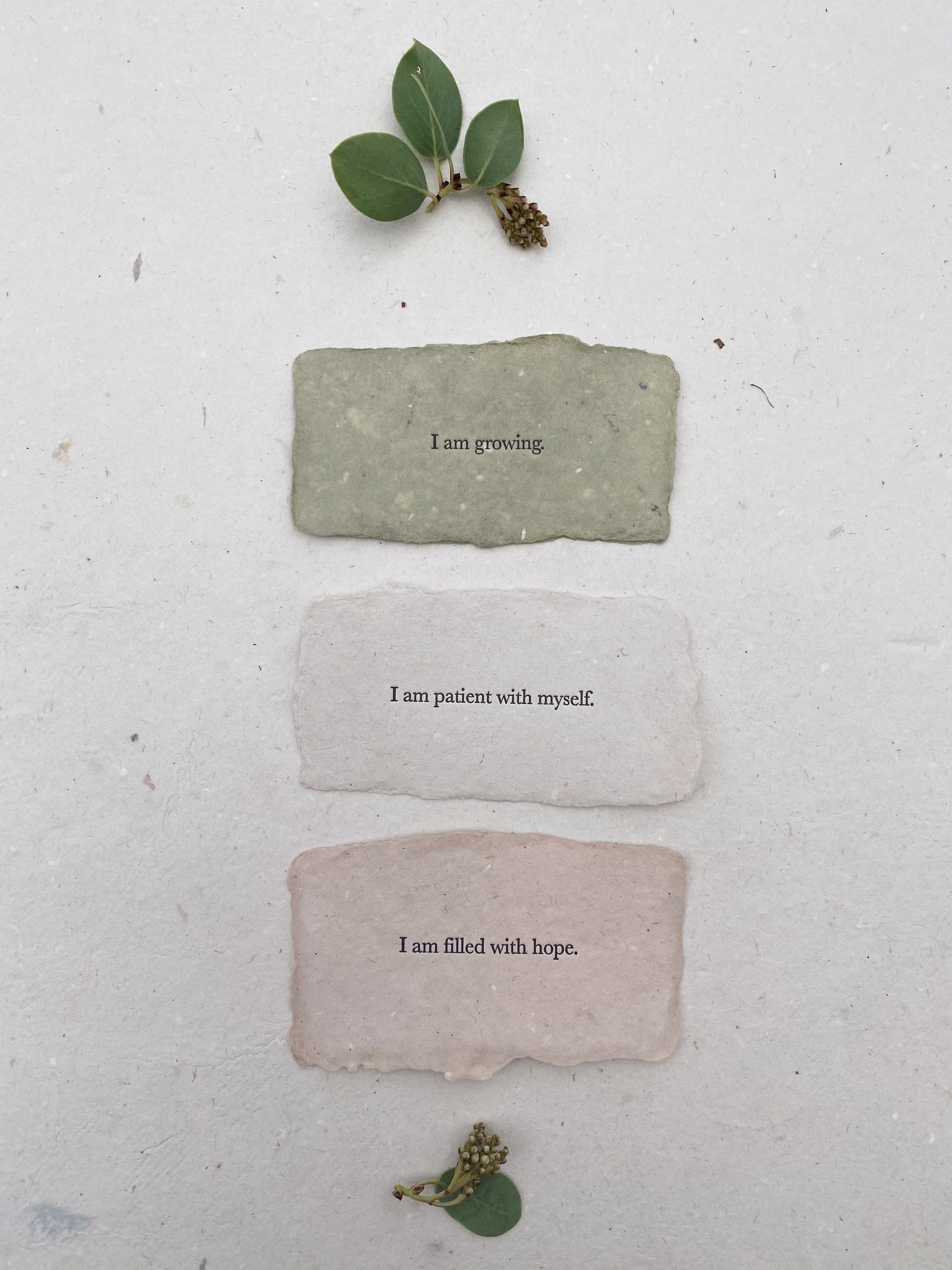 Affirmation Cards for Spring