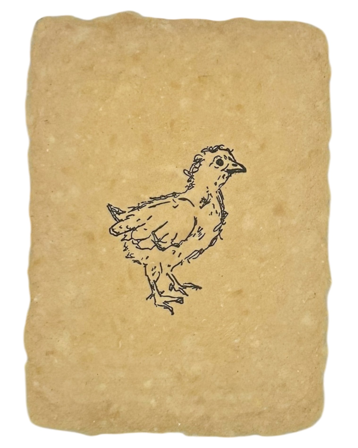 chick note card