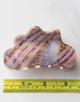 Eco Cloud Hair Claw Clip: Rainbow Cookie