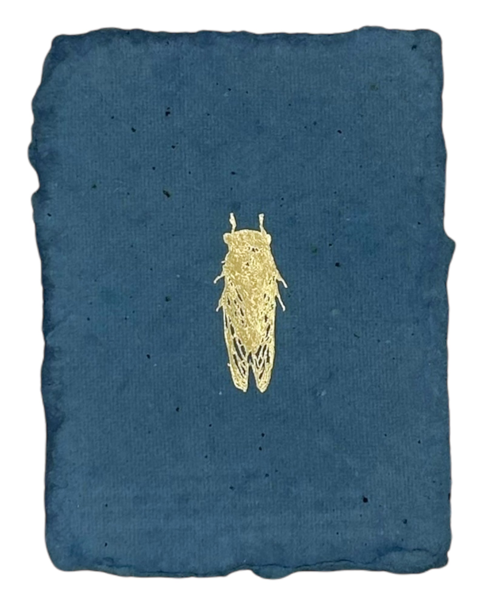 cicada note card