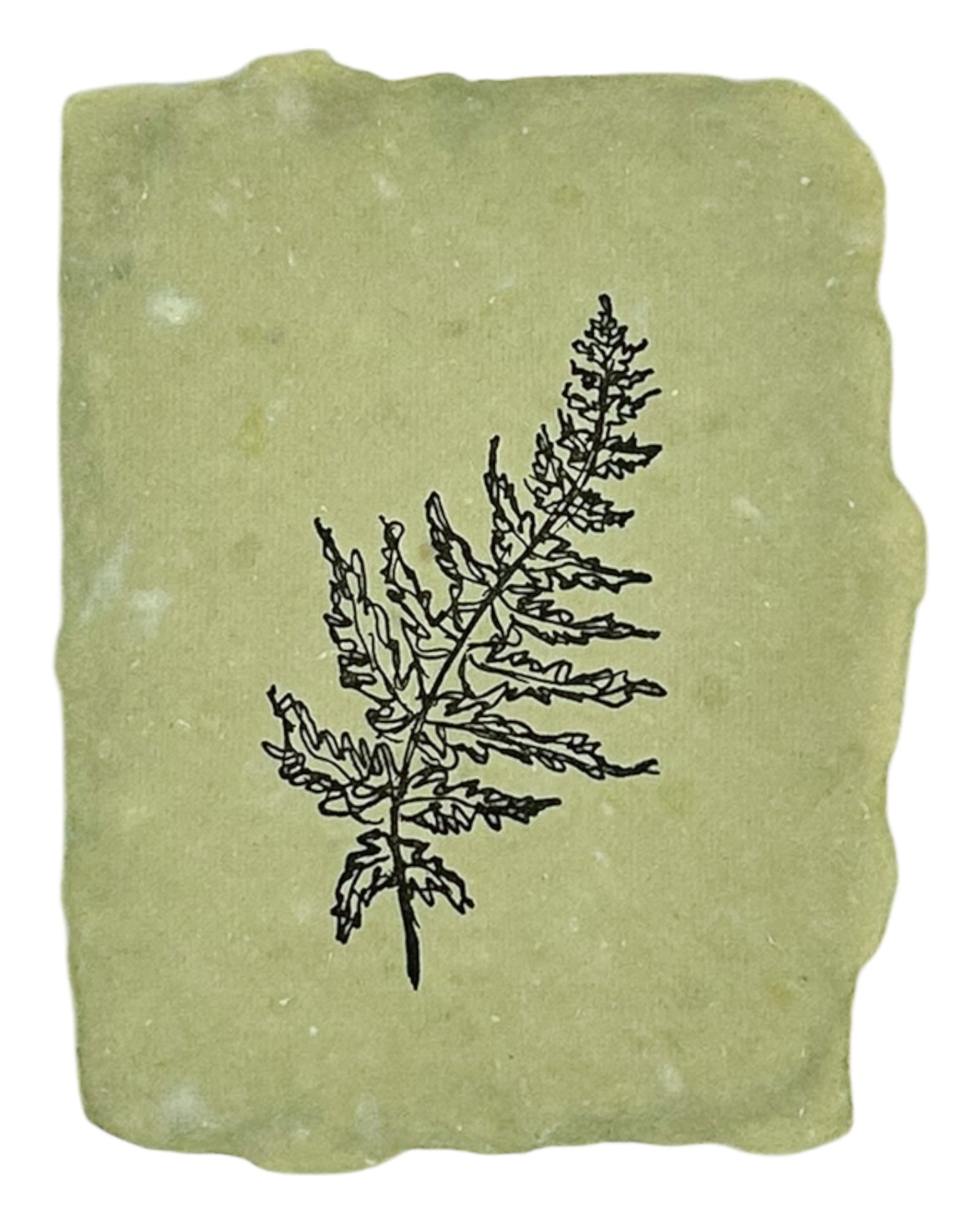 fern note card