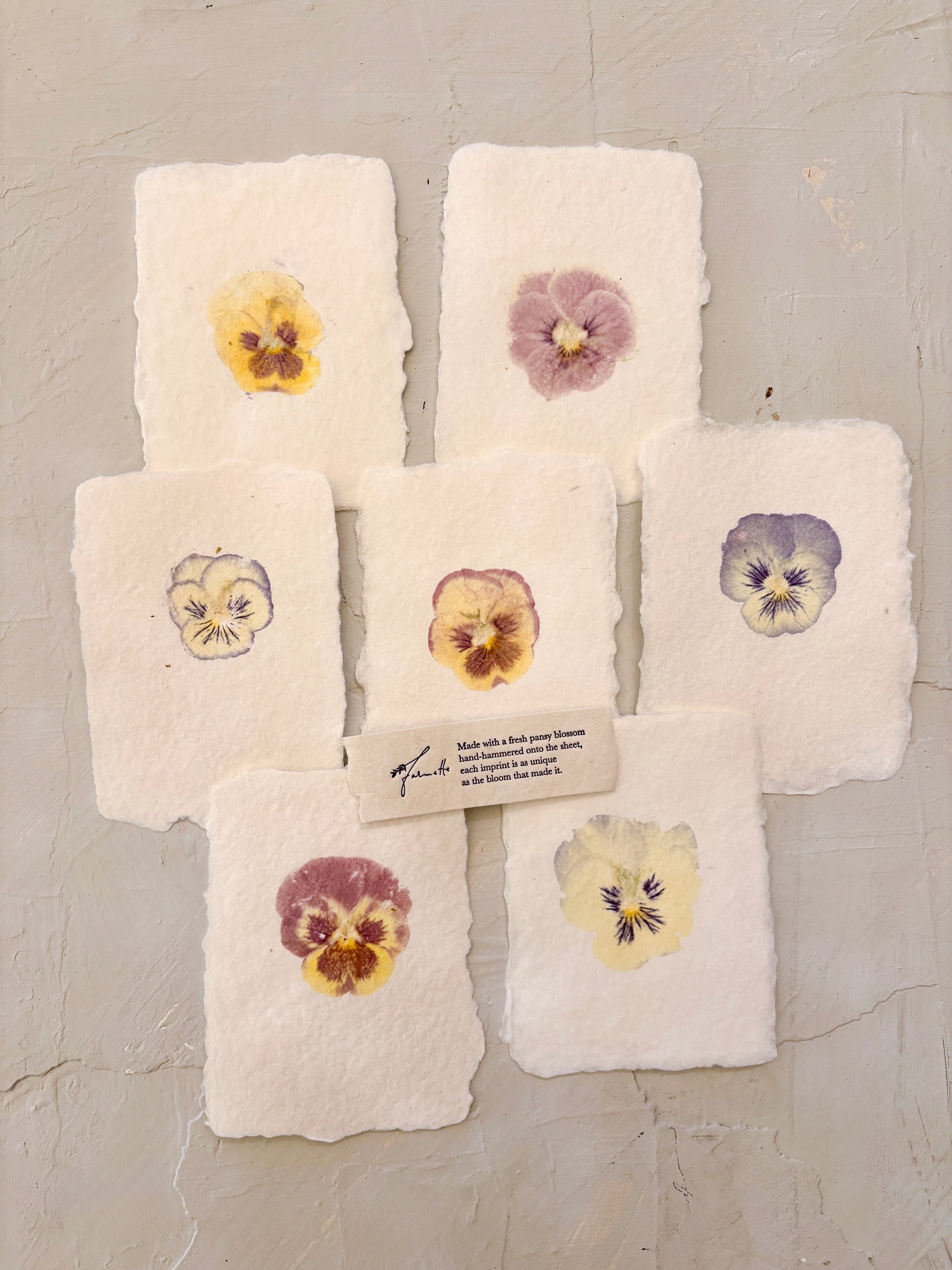 real pansy imprint note card