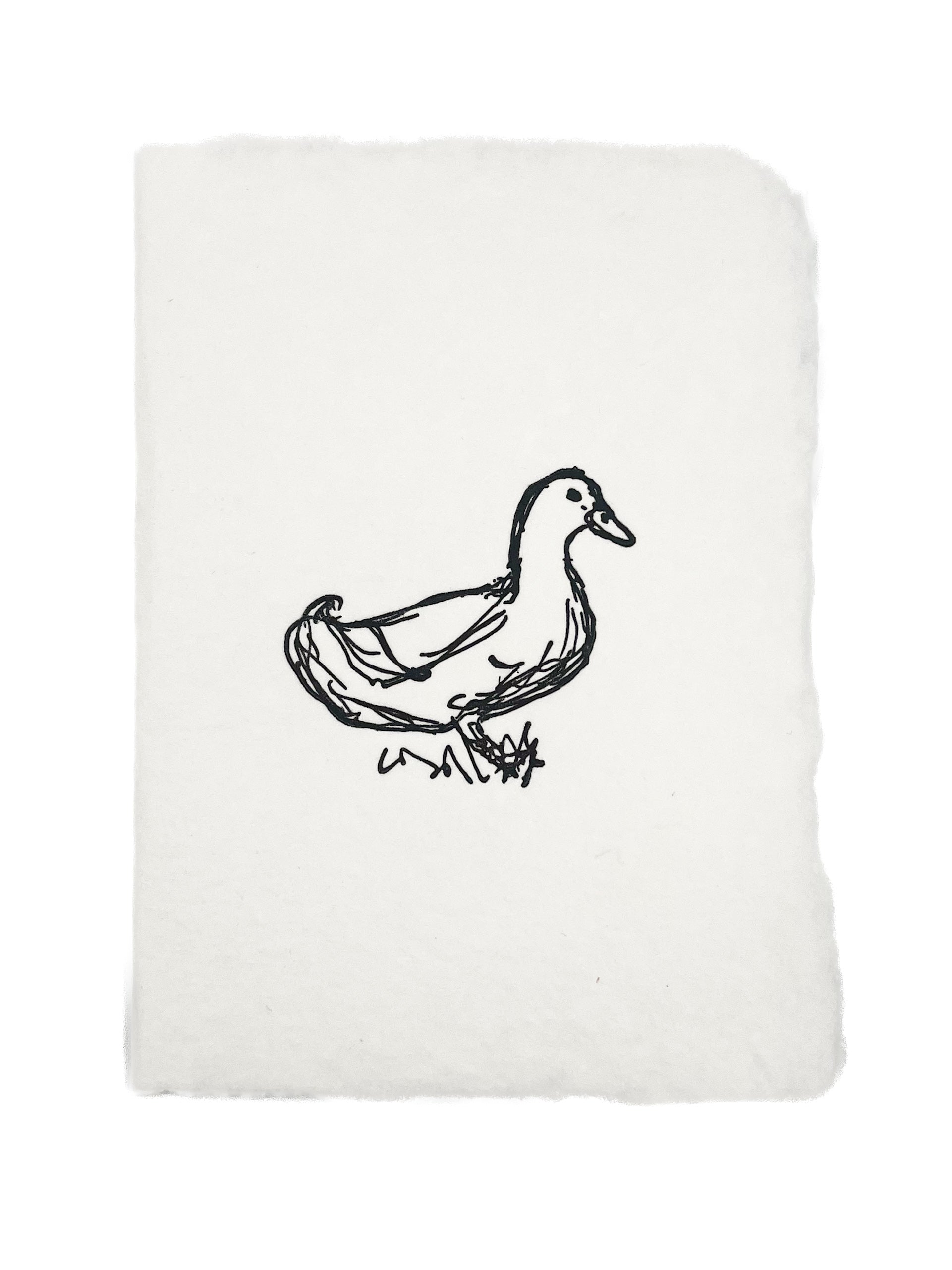duck sketch