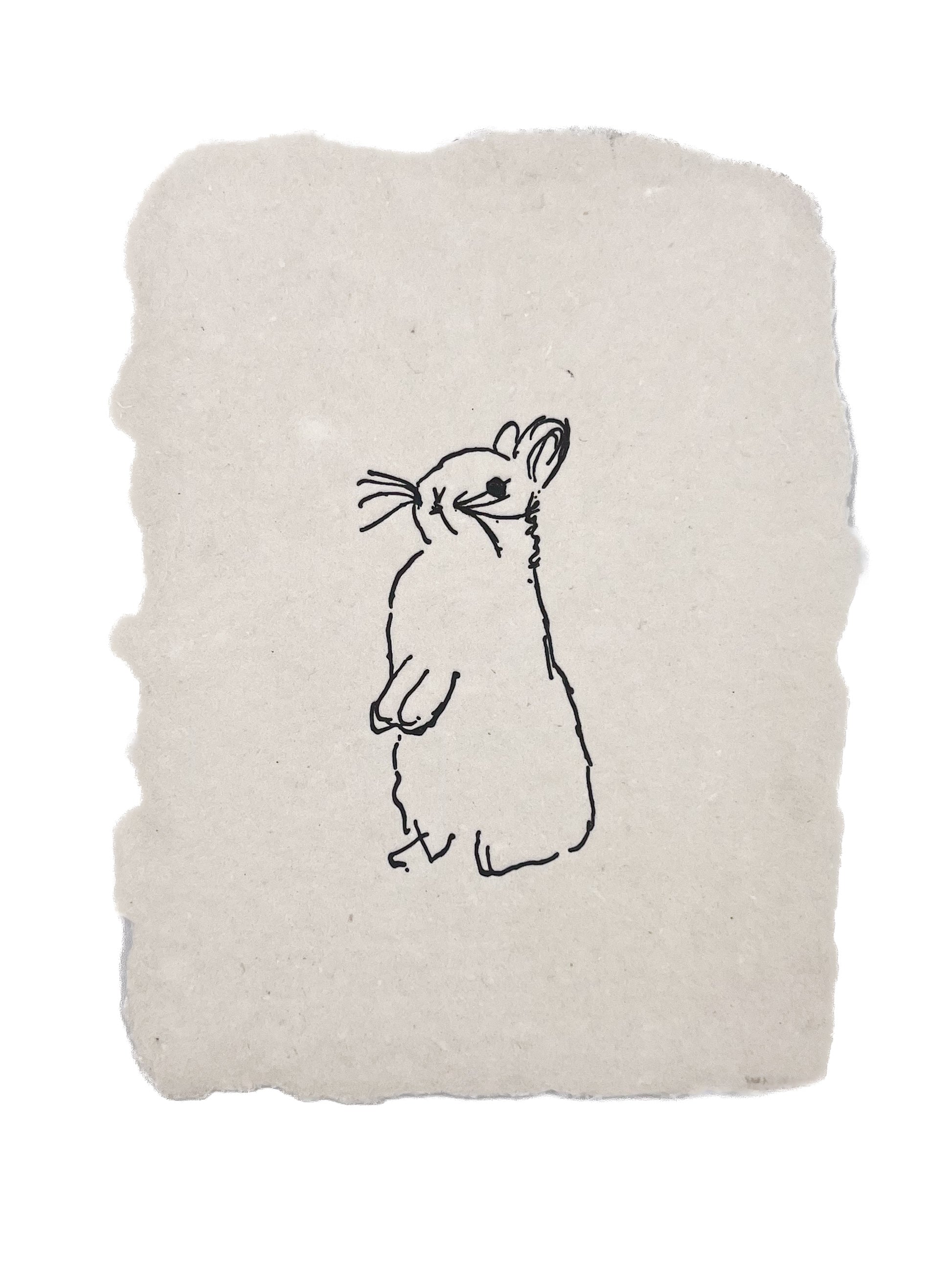 Bunny sketch