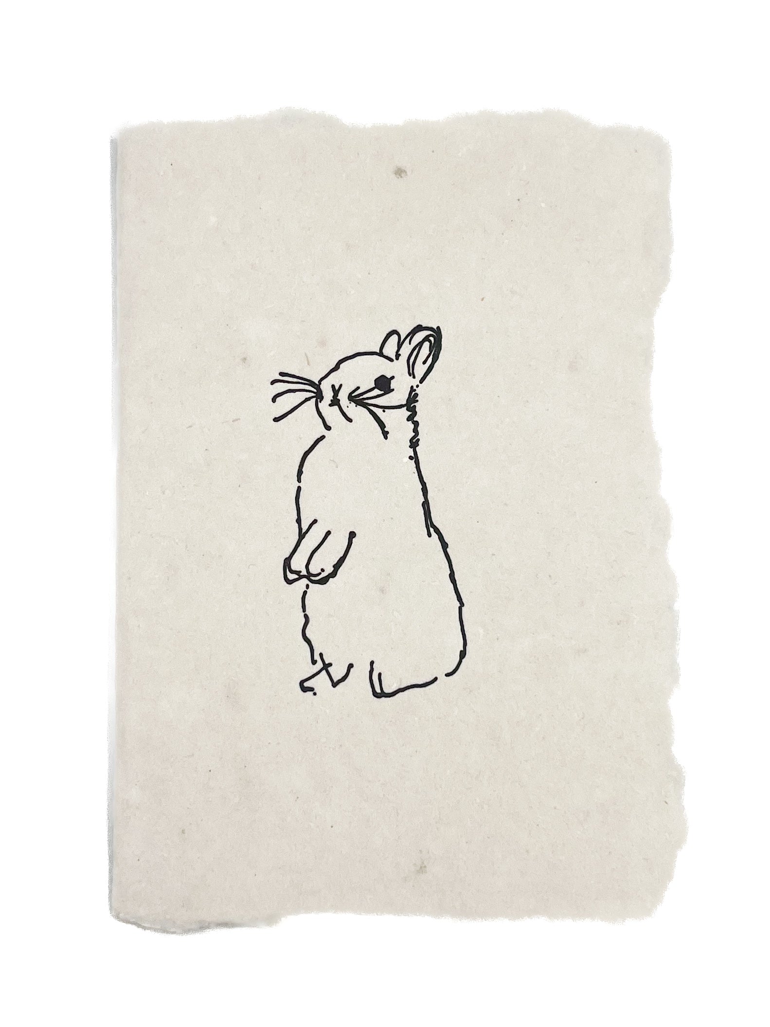 Bunny sketch
