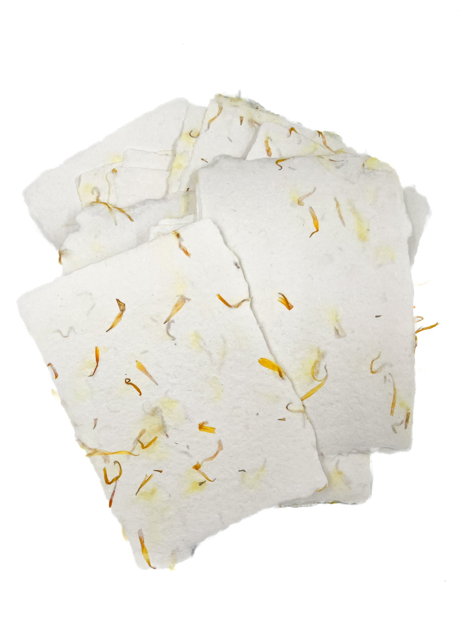 Petal A7 Handmade Paper with Custom Letterpress