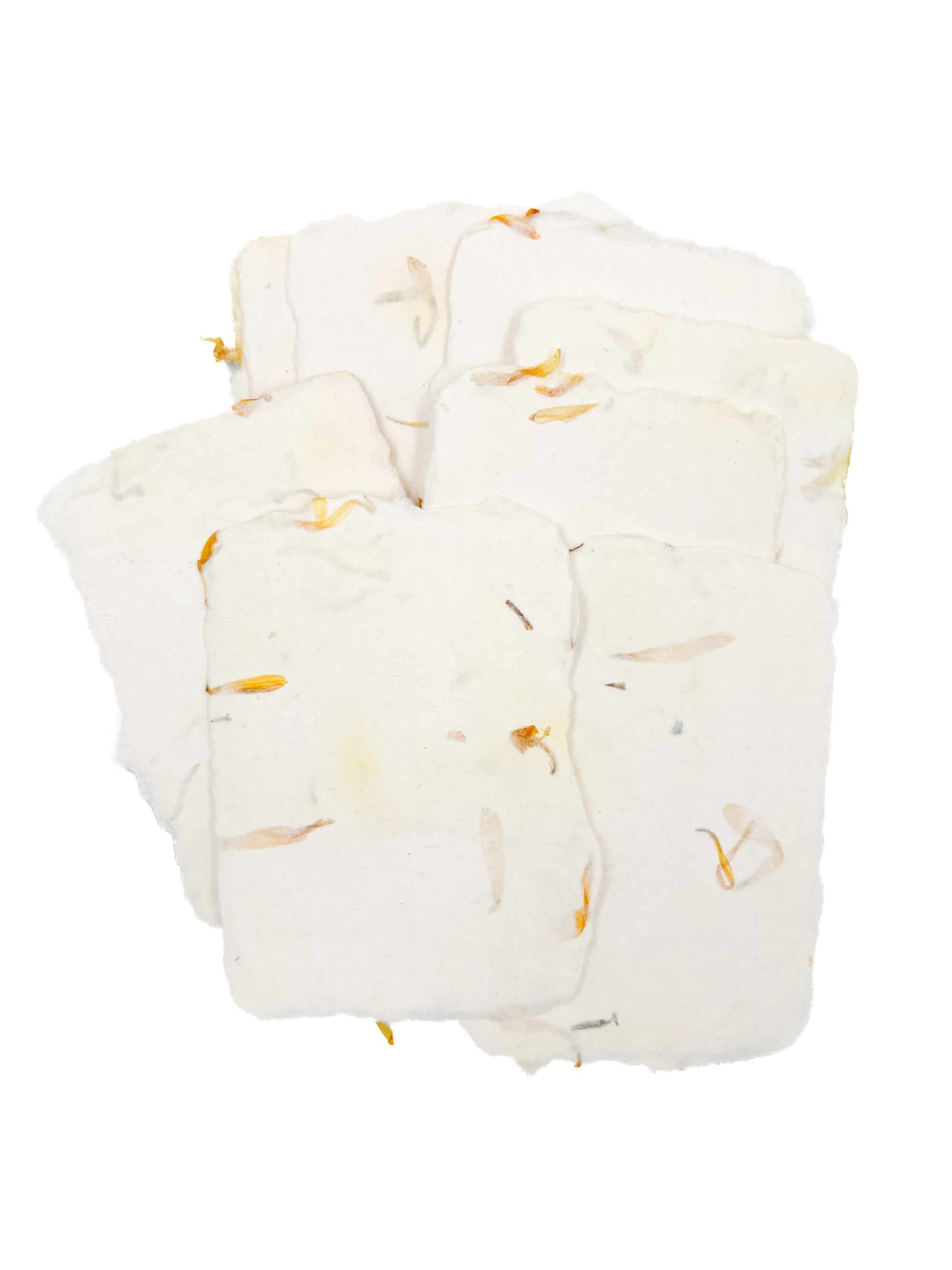 Petal 3x4 Handmade Paper with Custom Letterpress