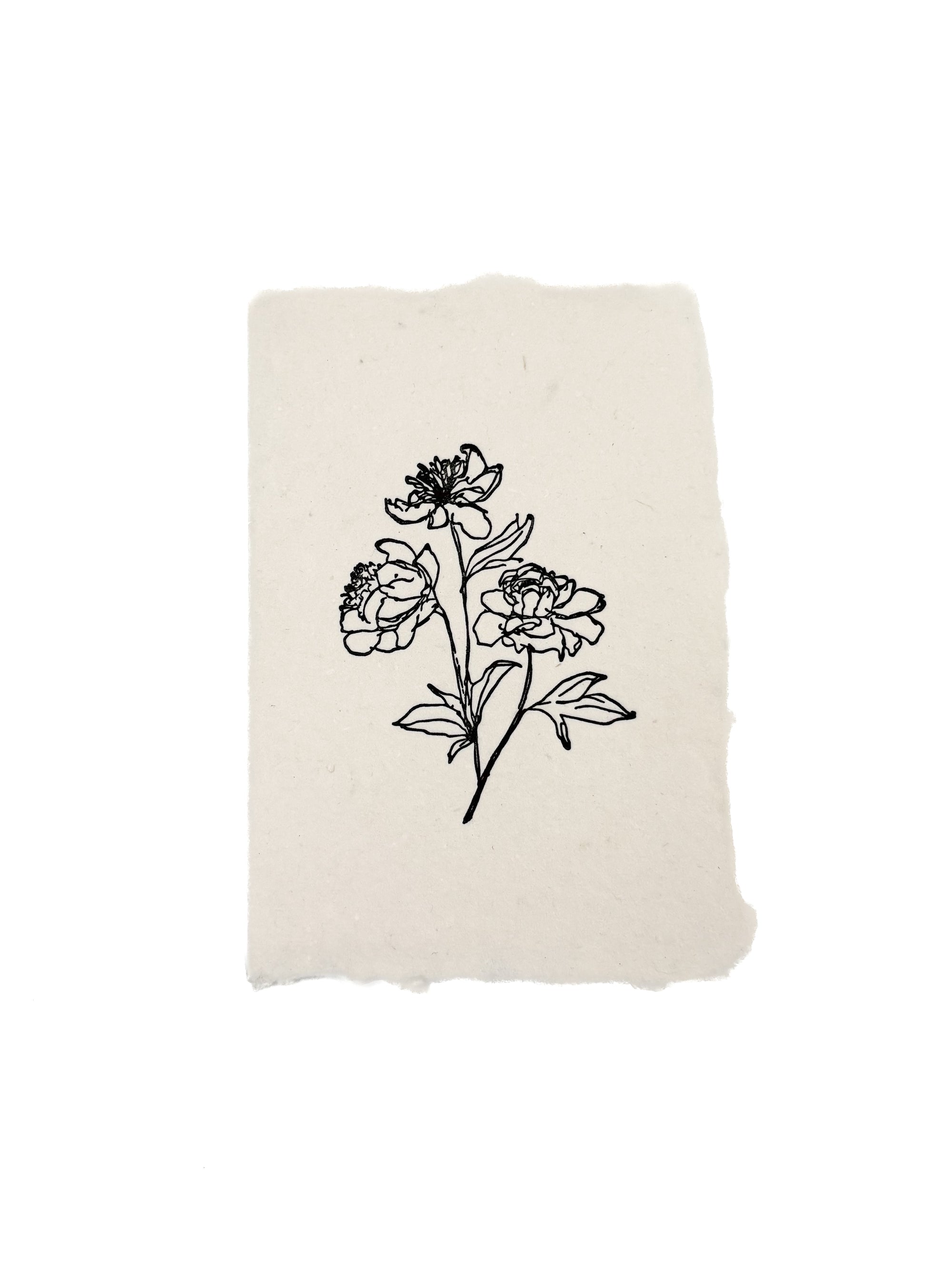 peony stems note card