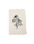 peony stems note card