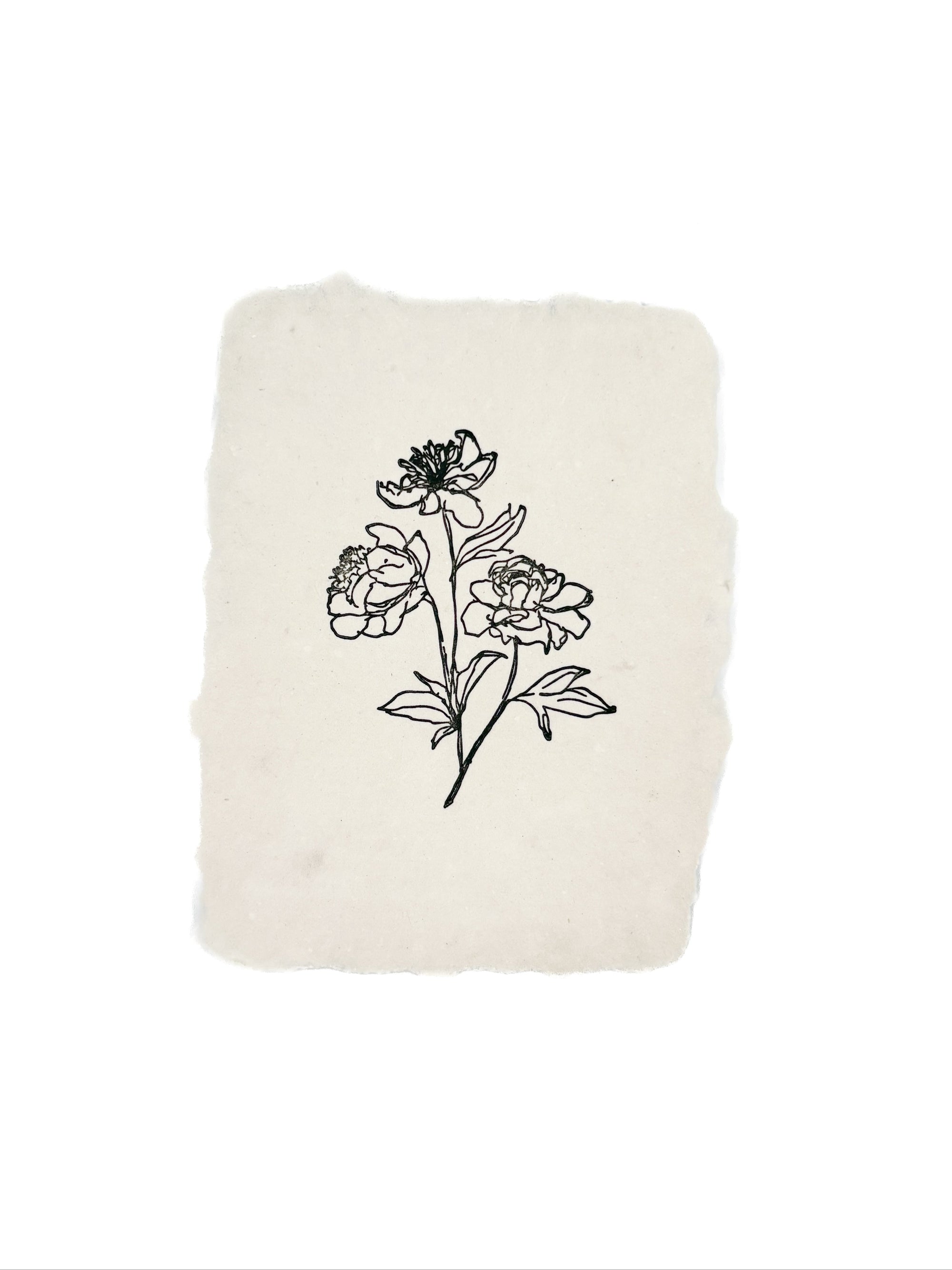 peony stems note card