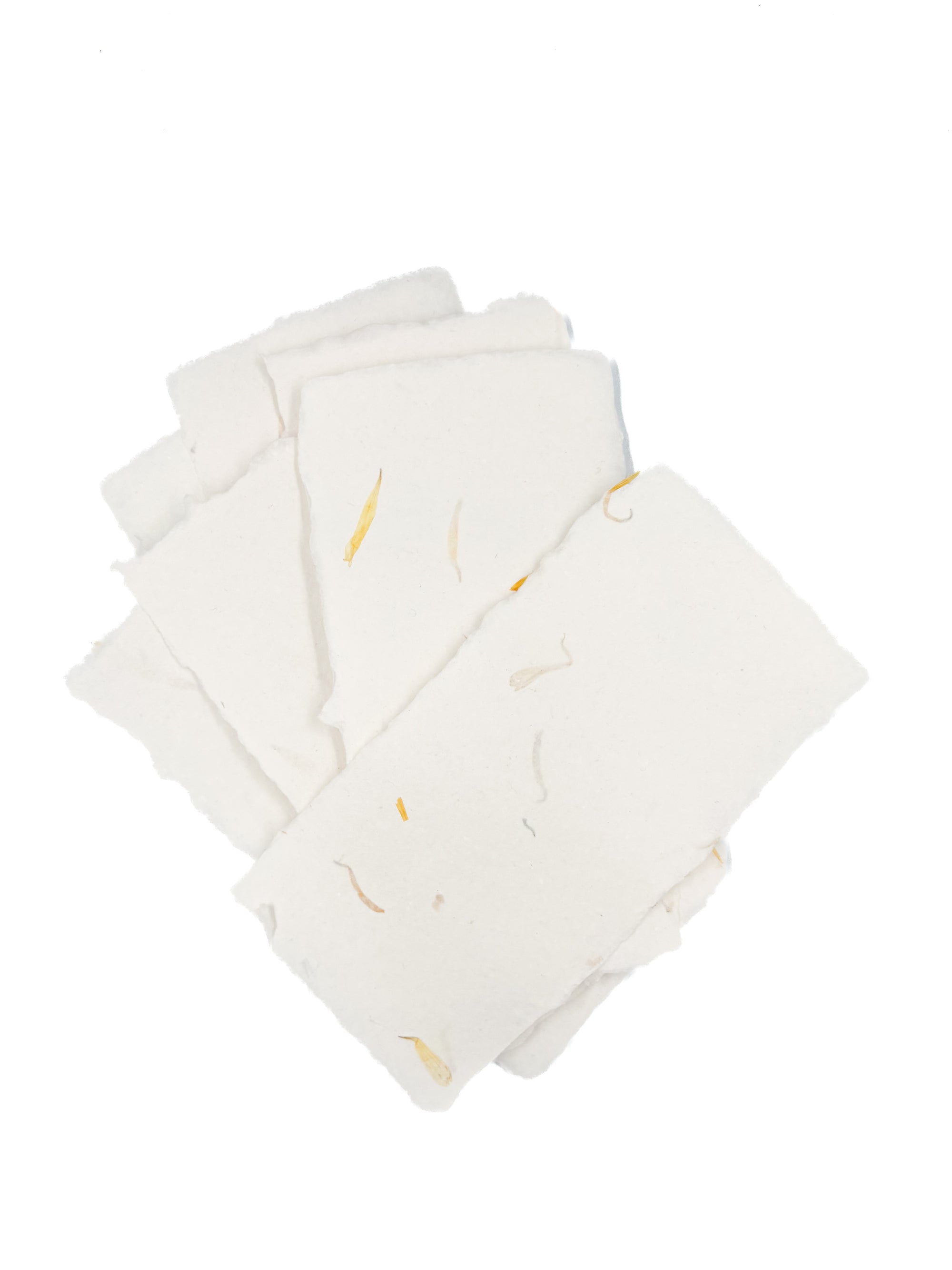 Petal 4x8 Handmade Paper with Custom Letterpress