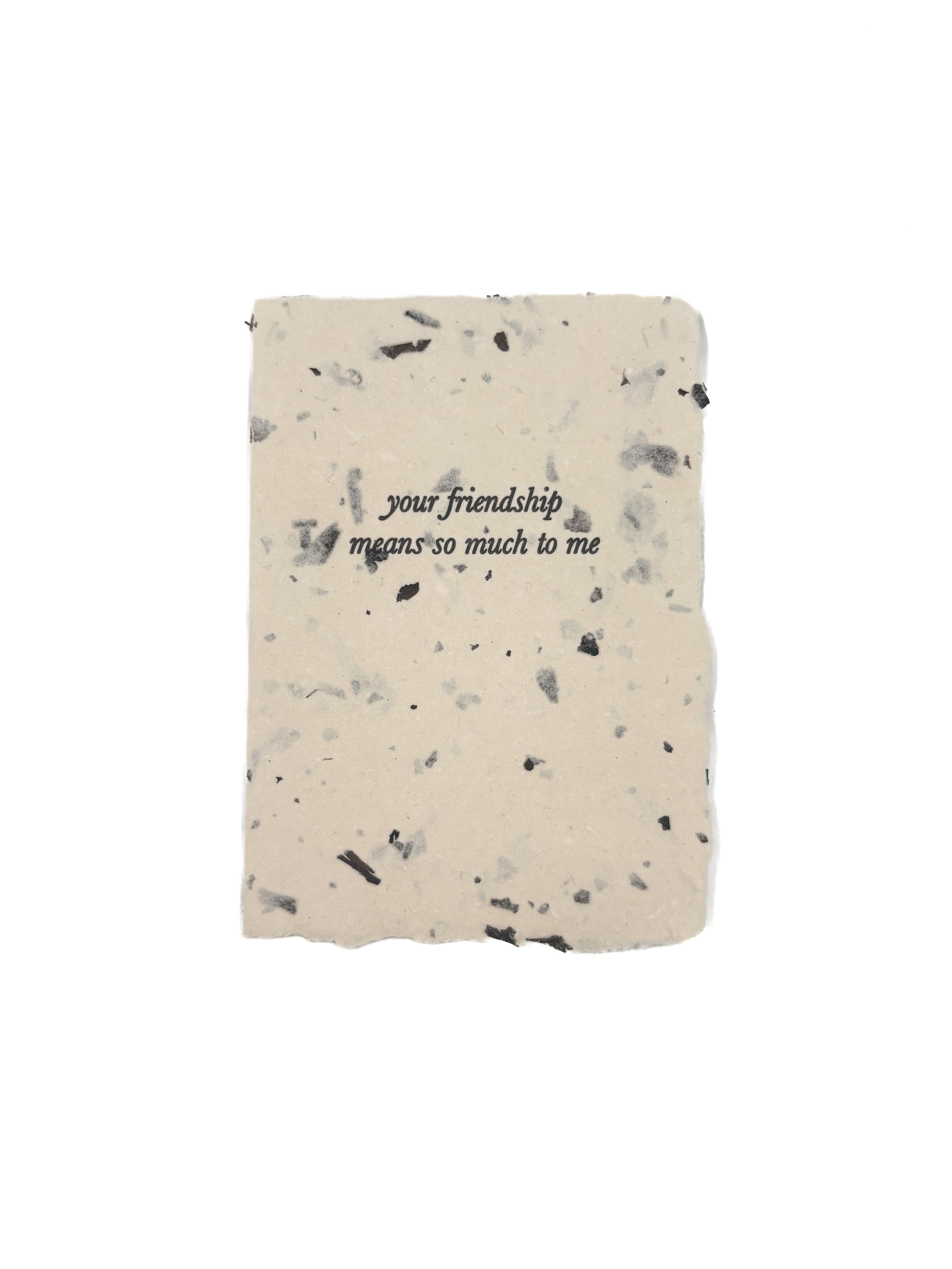 your friendship means so much to me card