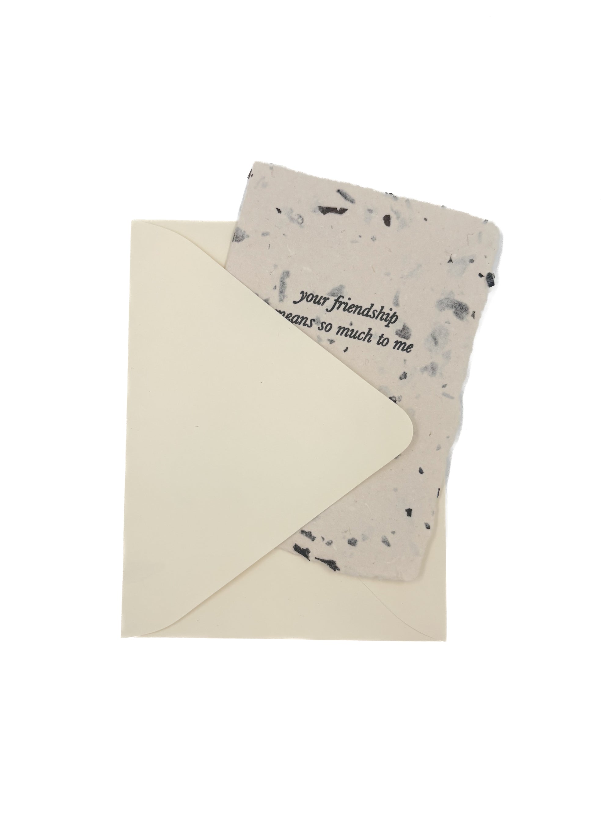 your friendship means so much to me card