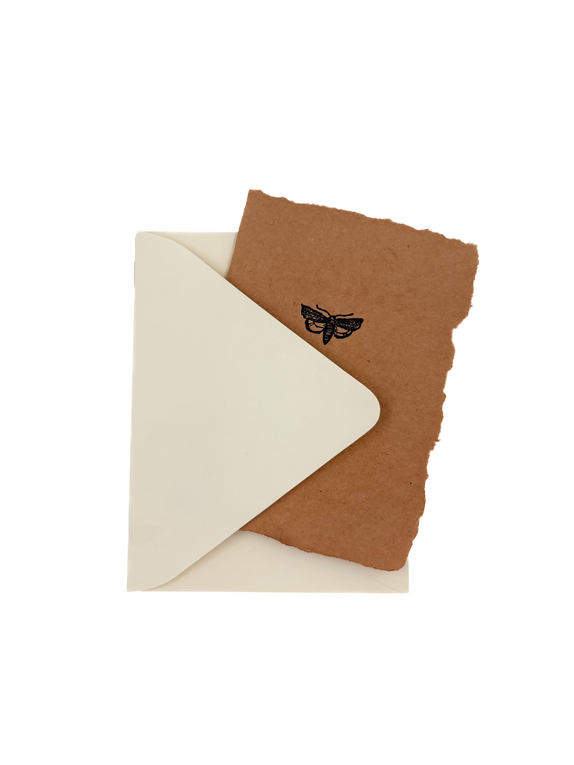 thinking of you moth card
