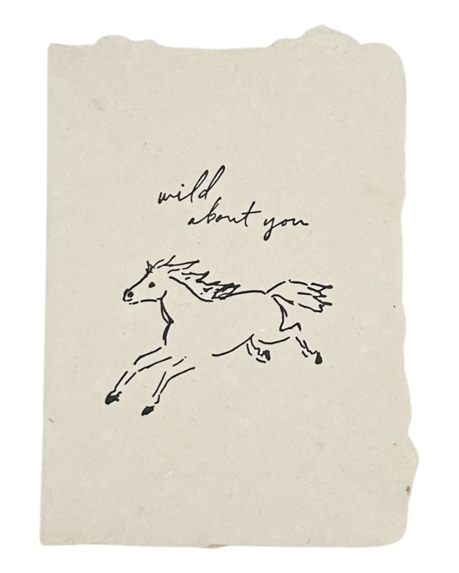 horse wild about you card