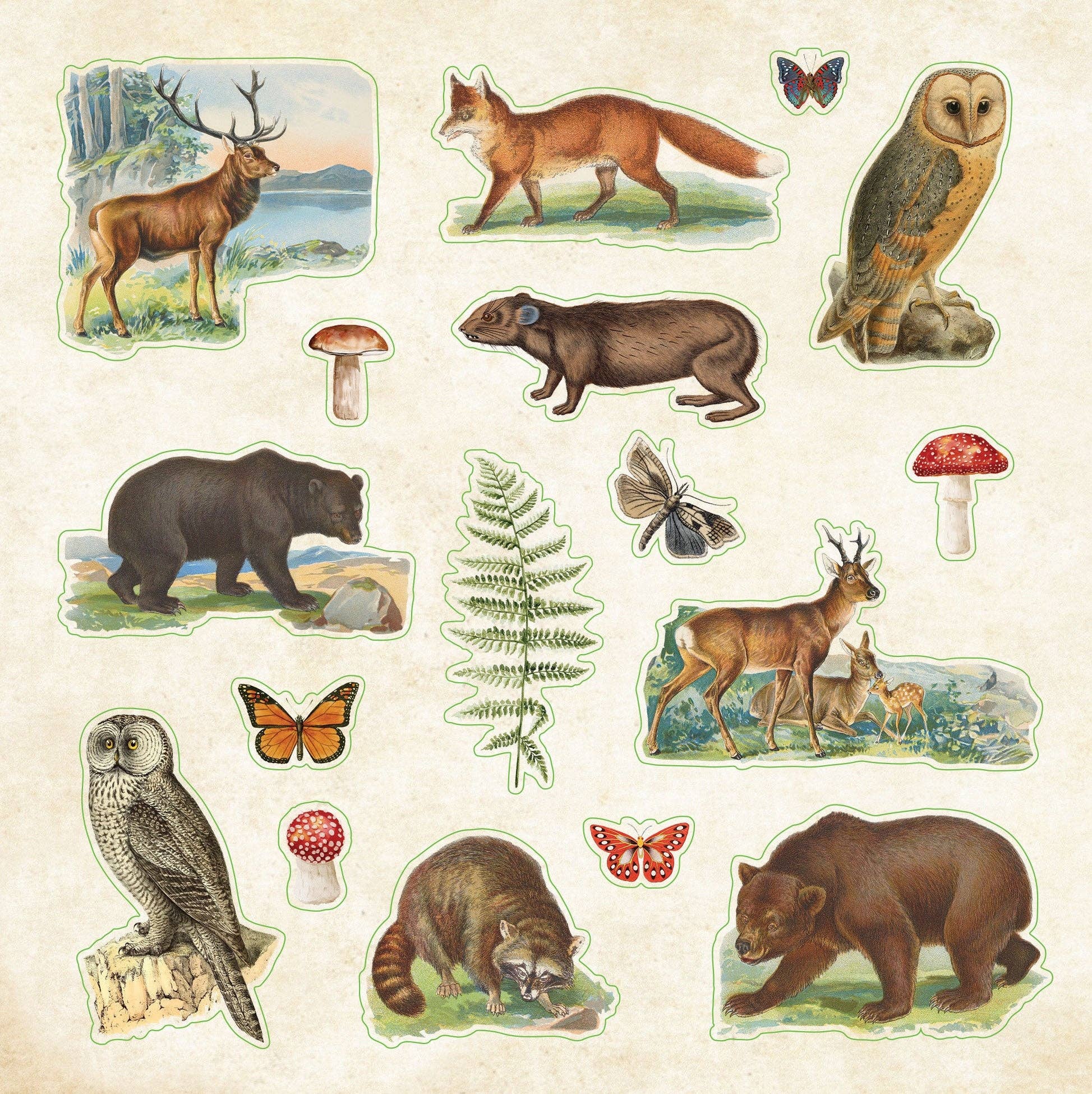 Zoological Ephemera Sticker Books