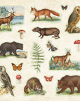 Zoological Ephemera Sticker Books