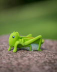 Grasshopper Natural Rubber Teether, Rattle & Bath Toy