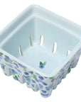 Blueberries Berry Basket