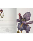 A5 Notebook - Irises