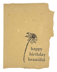 Farmette Essentials Wooden Box Bundle: 12 of Our Most Popular Cards