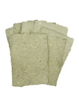 Leaf A7 Handmade Paper - Pack of 10