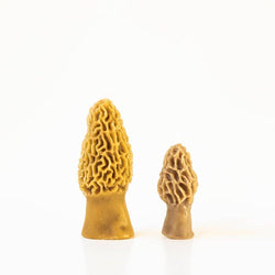 Beeswax Morel Mushroom Candle 2-pack: Taupe