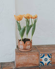 Vasanta Petals Planter with Drainage - Terracotta