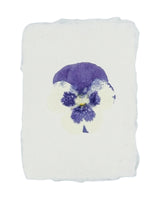 real pansy imprint note card