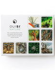 OuiSi Nature: Games of Visual Connection