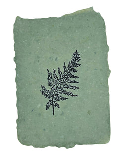 fern art print