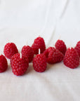 Beeswax Raspberry Birthday Candles: 10