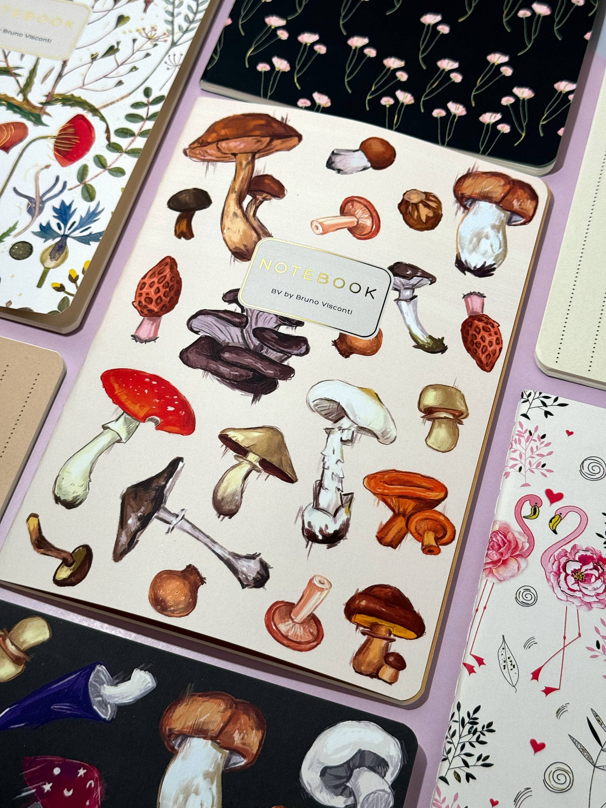 Mushrooms Notebook