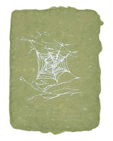 spider web in the grass note card