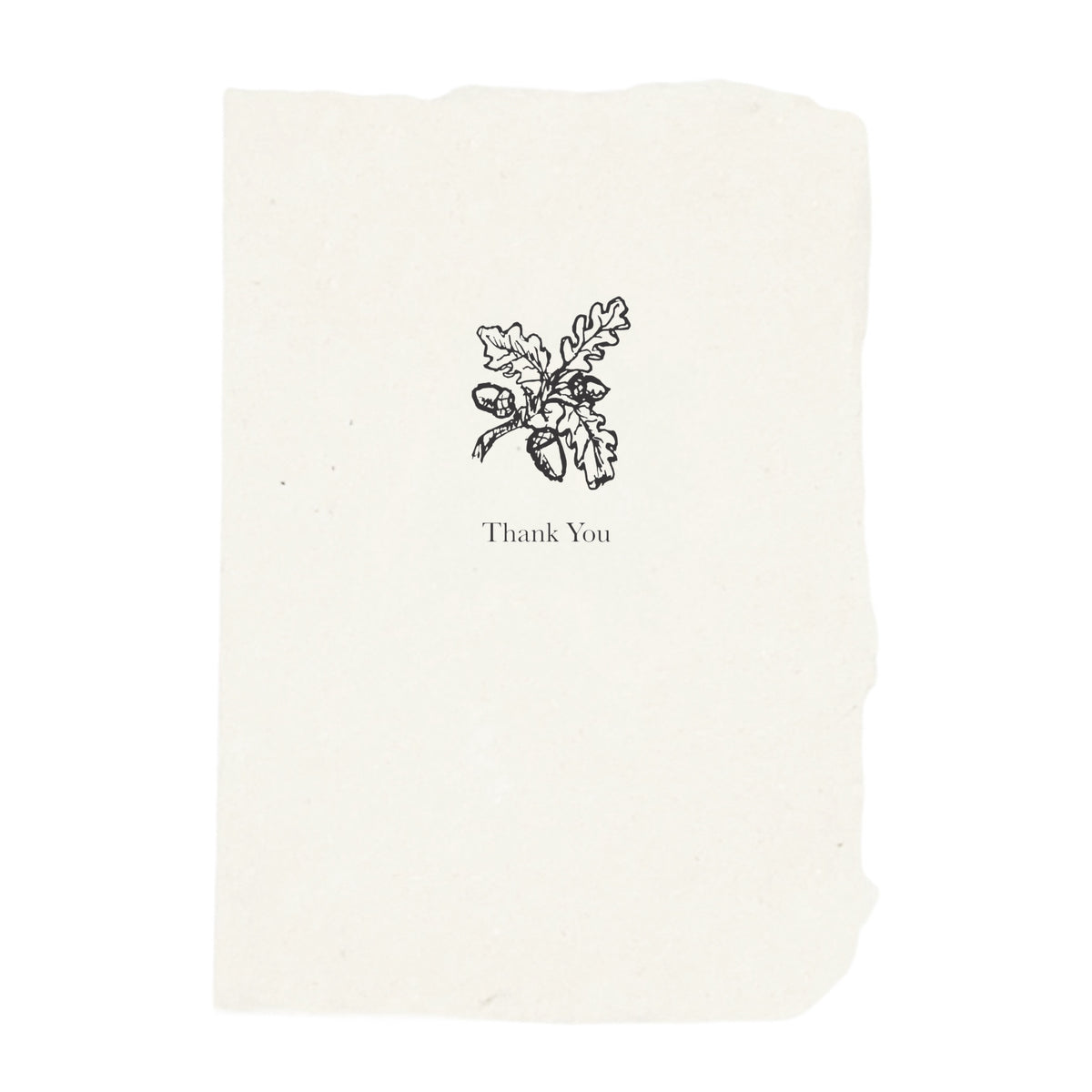 NEW! Acorn + Oak Leaf Thank You Card