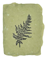 fern note card