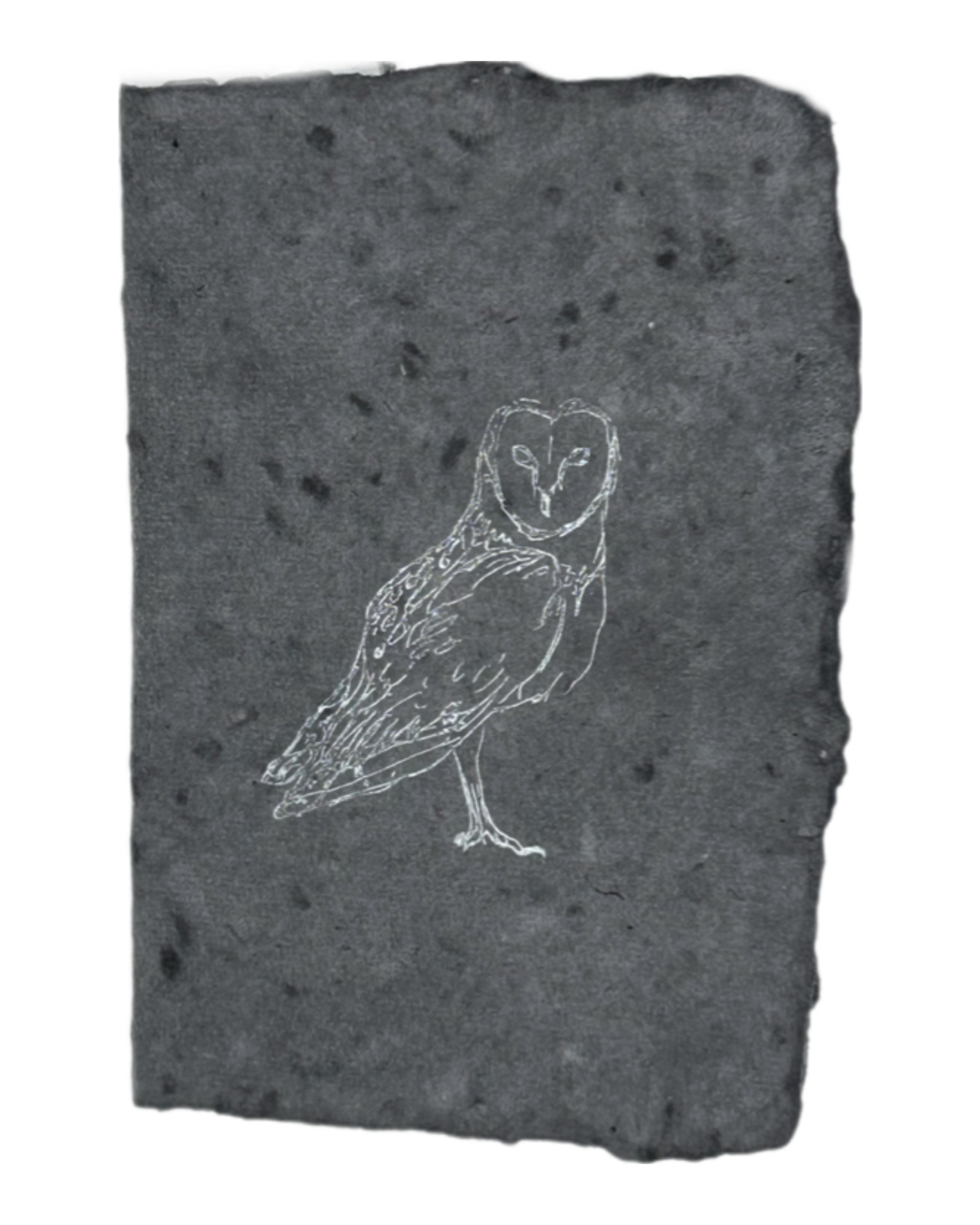 Silver owl card with line-art owl illustration on dark gray paper