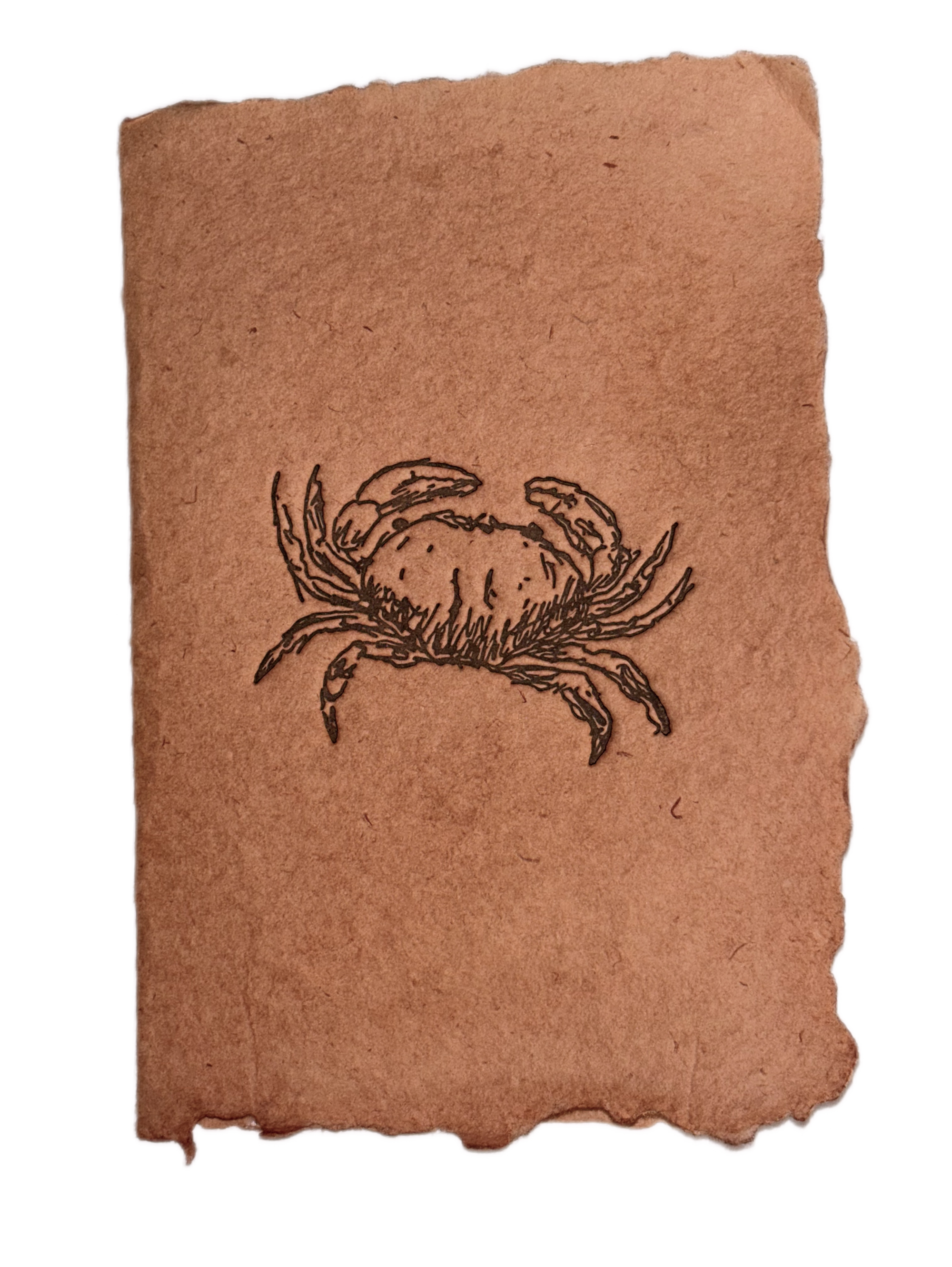 NEW! Crab Card