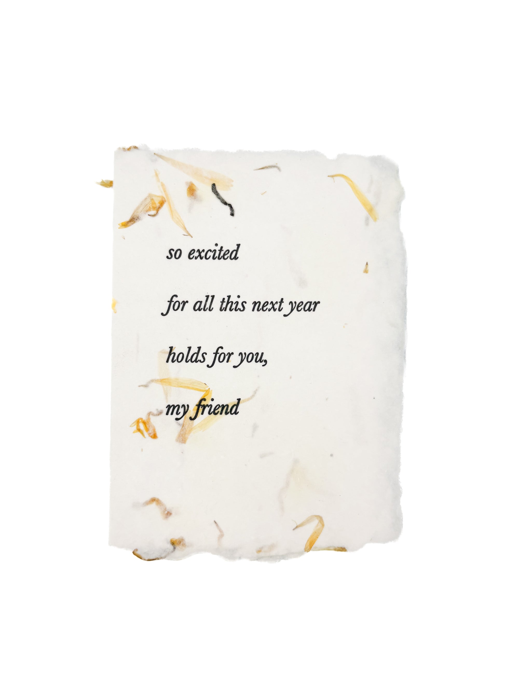 so excited for this next year friend birthday card