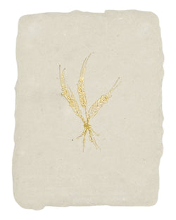 golden wheat note card