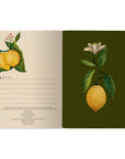 A5 Notebook - Lemons