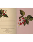 A5 Notebook - Wild Raspberry
