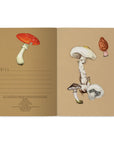 Mushrooms Notebook