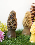 Beeswax Morel Mushroom Candle 2-pack: Taupe