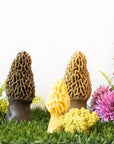 Beeswax Morel Mushroom Candle 2-pack: Taupe