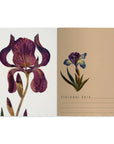 A5 Notebook - Irises